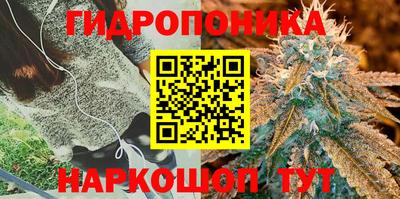 spice Первоуральск