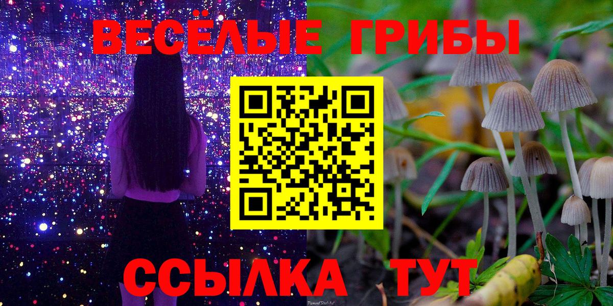 Псилоцибиновые грибы Cubensis Россошь